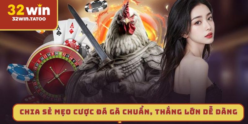 Chia sẻ mẹo cược đá gà chuẩn, thắng lớn dễ dàng